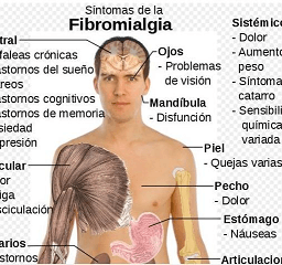 fibromialgia-remedio
